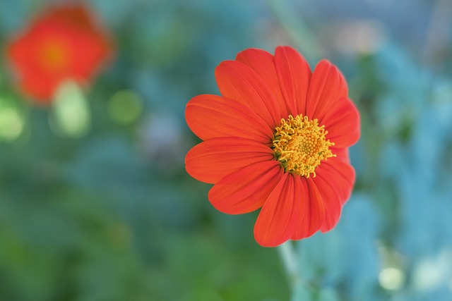 前教练：萨内性格非常敏感，纳格尔斯曼不应该公开说他