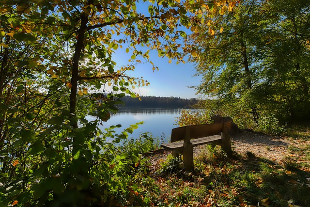 踢球者：伊藤洋辉恢复良好，可能在周六拜仁对阵弗赖堡时复出