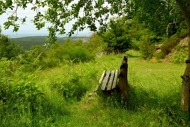 西蒙尼：球队客场应表现更具冲击力，对阵埃因霍温需全力以赴