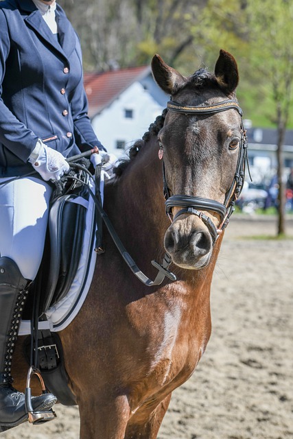 的领跑以及 的领跑以及
