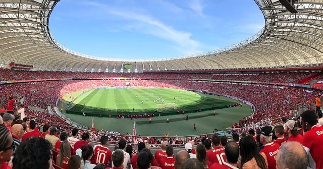 王国明