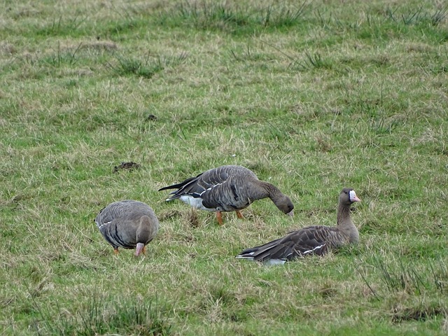 他都几乎无 他都几乎无