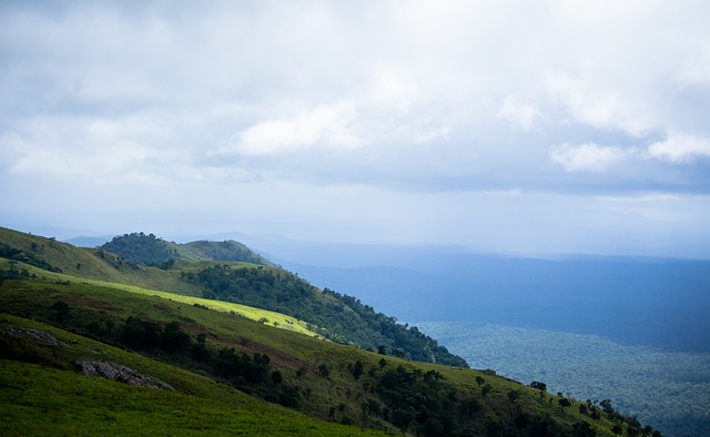 正在逐渐完 正在逐渐完